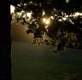 Darsuniskis House | Užukalnio sodyba