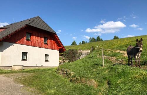 Masakova Lhota House | U Oslíka
