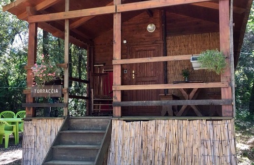 Petreto-Bicchisano House | U Pratu, bungalows surrounded by nature, natural pool and organic garden