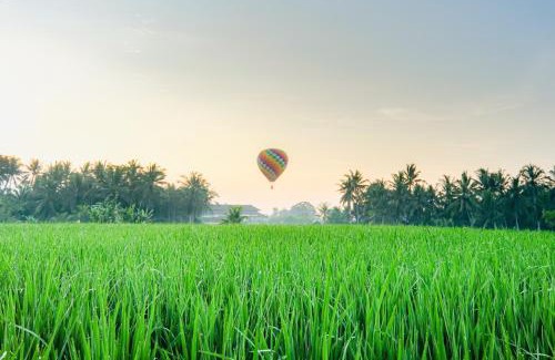 Peliatan Villa | Ubud Jungle Stay by WAHM Hotel Management