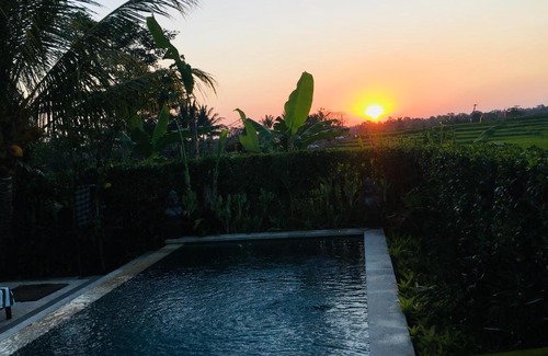 Kedewatan Villa | Ubud Rice Field Villa