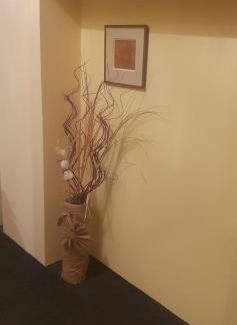 Lhotka Apartment | Ubytování Kopeček 22 celý dům s vlastním dvorem v klidné lokalitě