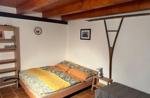 Pouzdrany Apartment | Ubytování nad vinným sklípkem - Pension Pausram