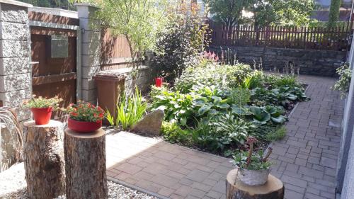 Stare Mesto Apartment | Ubytování U Morisse