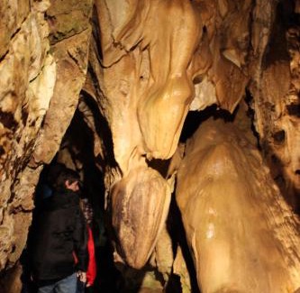 Stare Mesto Apartment | Ubytování U Morisse