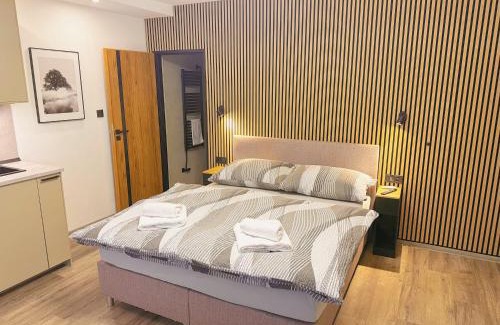 Brno House | Ubytování v Brně - Schodová