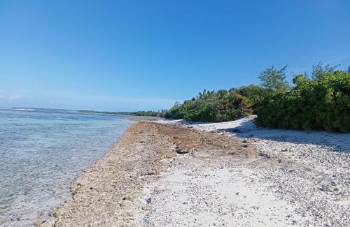 Fiyoari Island Apartment | Udhares