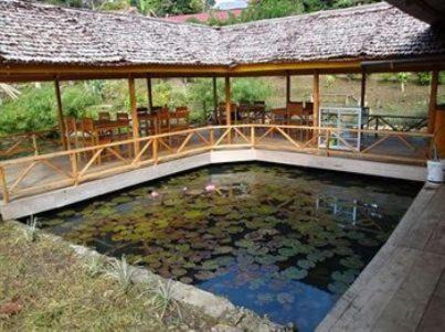 Tentena House | Ue Datu Cottages