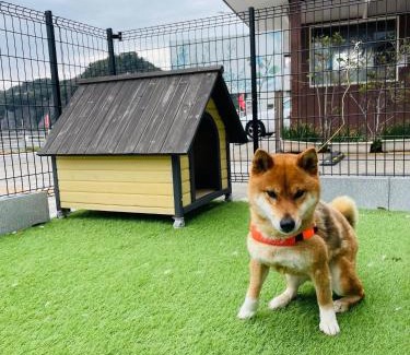 Kamogawa House | Uhome Kamogawa 本館-【ペット可/広い2LDK】