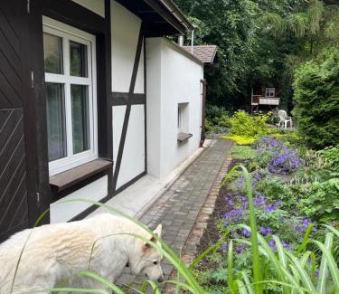 Zukowo House | uLasa