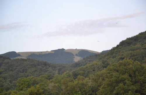 Monteflavio Apartment | Un passo dalla vetta