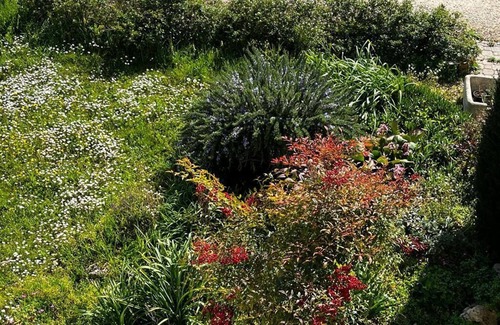 Castel Bolognese Apartment | Under The Moon: House in the Countryside Family Apartment with Balcony and Garden