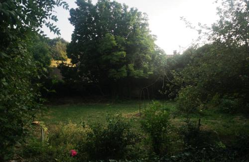 Saint-Pons-de-Thomieres House | Une chambre au jardin