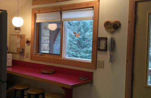 Primrose Apartment | Unique And Relaxing Private Apartment In The Midst Of Chugach National Forest