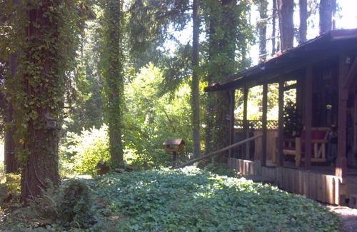 Silver Lake Cabin | Unique Cabin in the Woods Near Mount St. Helens