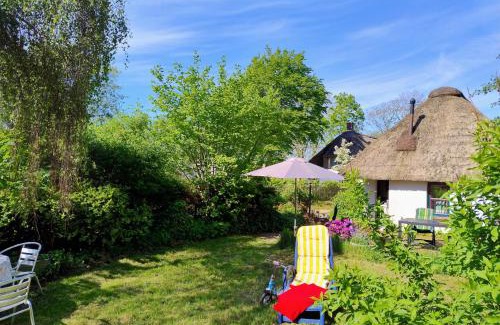 Suderdeich House | Unser Froschhaus