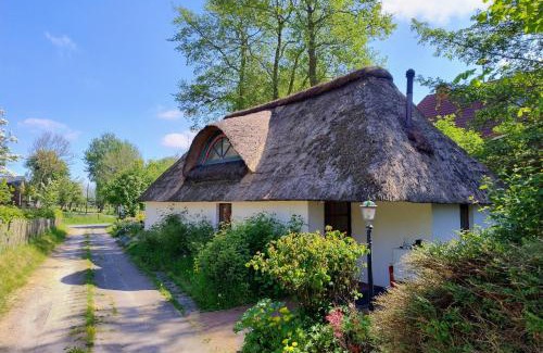 Suderdeich House | Unser Froschhaus