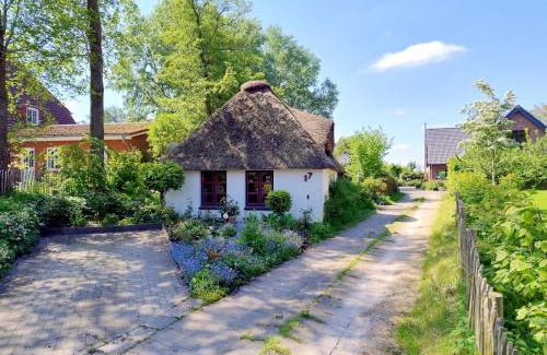 Suderdeich House | Unser Froschhaus