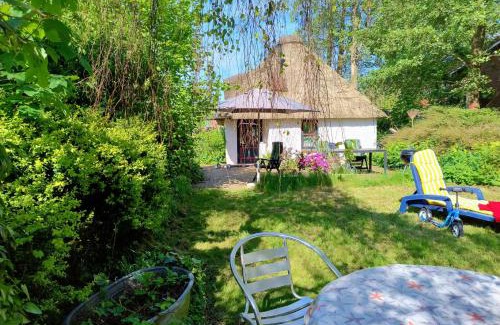 Suderdeich House | Unser Froschhaus