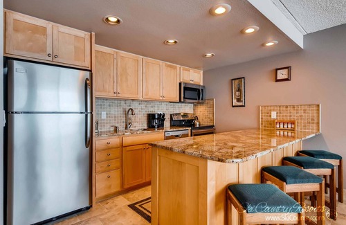 Peak 9 Condo | Unwind in Spacious Comfort. Retreat in an Unbeatable Breck Location TE511