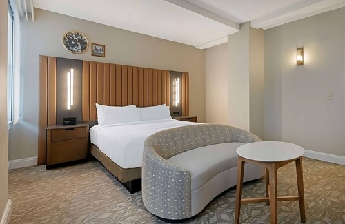 Downtown Tampa Hotel | Unwind in Style: Experience Downtown Tampa's Finest Stay! 3 Rooms