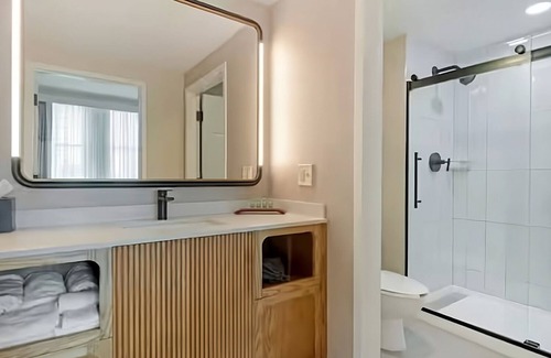 Downtown Tampa Hotel | Unwind in Style: Experience Downtown Tampa's Finest Stay! 3 Rooms