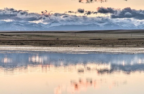 Bynum House | Updated Townhouse with Pergola, Walk to Downtown!