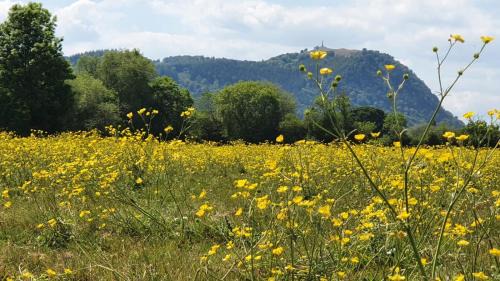 Halfway House Bed & Breakfast | Upper Eyton Farmhouse B&B
