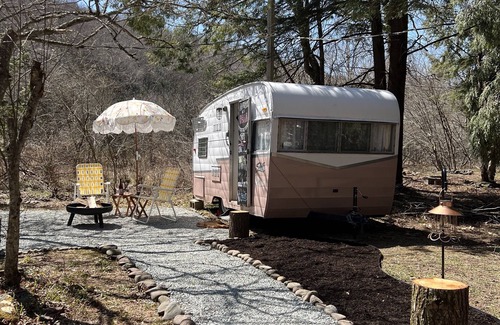 Parksville House | Upstate Catskills Beautiful 1963 Vintage Camper "Rosa"
