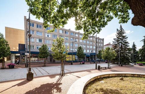 Siauliai City Center Apartment | Urban Oasis Apartments