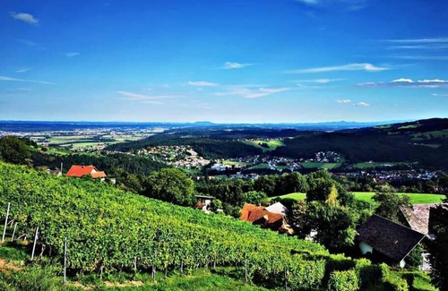 Krottendorf-Gaisfeld House | Urlaub in den Weinbergen