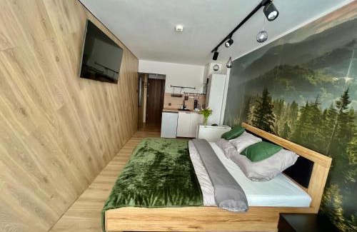 Jaszowiec Apartment | Ustroń Jaszowiec Apartament Basia