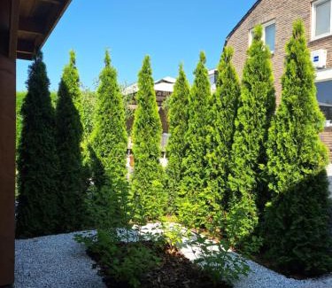 Nieuwdorp Bed & Breakfast | Ut Hófke