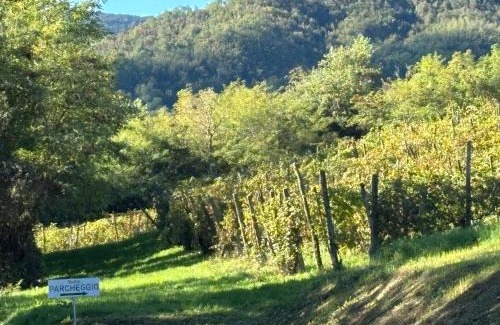 Bassano Sotto House | UvaMatta