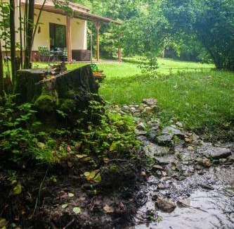 Saly House | Vízfő Kabin