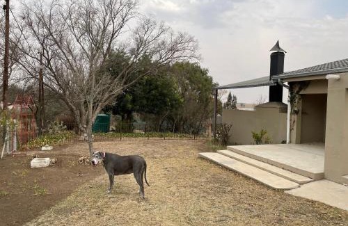 Oranjeville House | Vaaldam @ Sgt Pepper’s Holiday Home