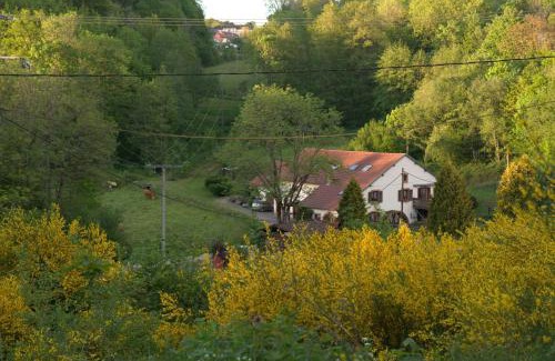 Ban-de-Sapt Apartment | Vacance conviviales dans les Vosges 8 Gîtes