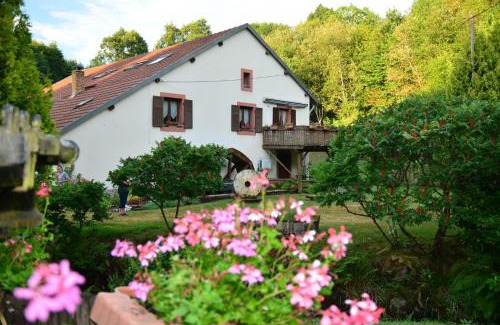 Ban-de-Sapt Apartment | Vacance conviviales dans les Vosges 8 Gîtes