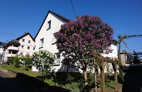 Ellenz Apartment | Vacation apartment Ewa -FeWo Ellenz