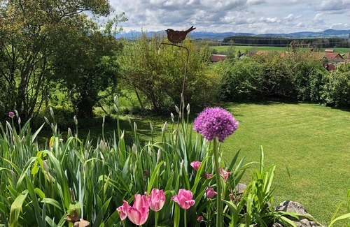 Haldenwang Apartment | Vacation apartment/apartment for 2 guests with 60m² in Haldenwang (153927)