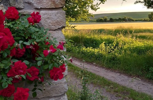 Flonheim Apartment | Vacation apartment/apartment for 6 guests with 70m² in Flonheim (131397)