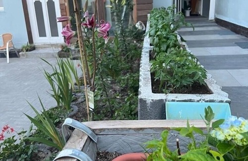 Lauchhammer Apartment | Vacation apartment/apartment for 7 guests with 100m² in Lauchhammer (242580)