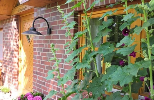 Dahlenburg House | Vacation home for 5 guests with 120m² in Dahlenburg (116914)