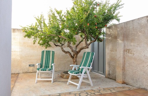 Marsala House | Vacation home the vineyard marsala "Grecanico"