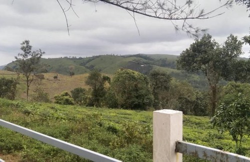 Elappara Villa | Vagamon Hill Palace Resort