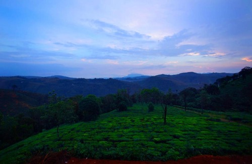 Elappara Villa | Vagamon Hill Palace Resort