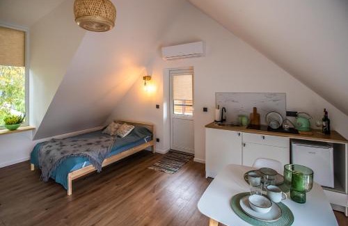 Birstonas Apartment | Vakaras cozy apartment in the guest house with the terrace and the stunning view to the river side