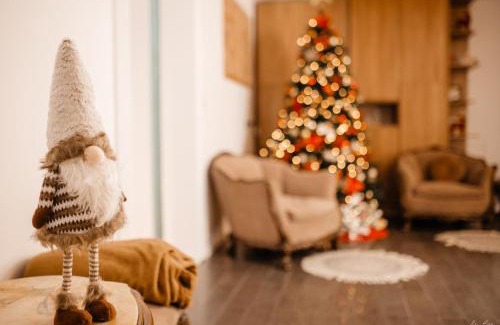 Pojorita House | Valea Putnei Residence- Rooms for rent