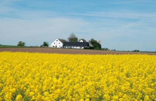 Loderup Bed & Breakfast | Vallebergaslätt