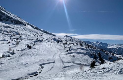 Vaujany Apartment | VAUJANYLOCATIONS - Flocon 1